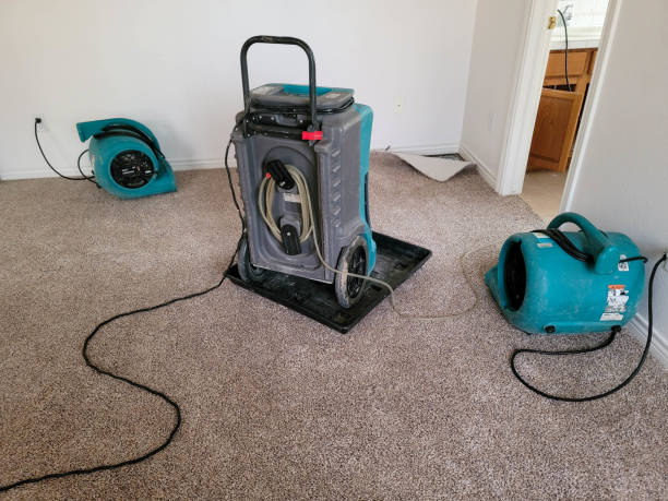Best Residential water damage restoration  in Olney, MD