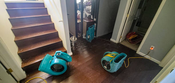 Best Basement water damage restoration  in Olney, MD