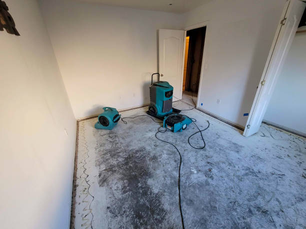 Best Water damage cleanup near me  in Olney, MD