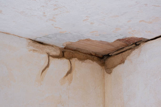 Best Flood damage cleanup  in Olney, MD
