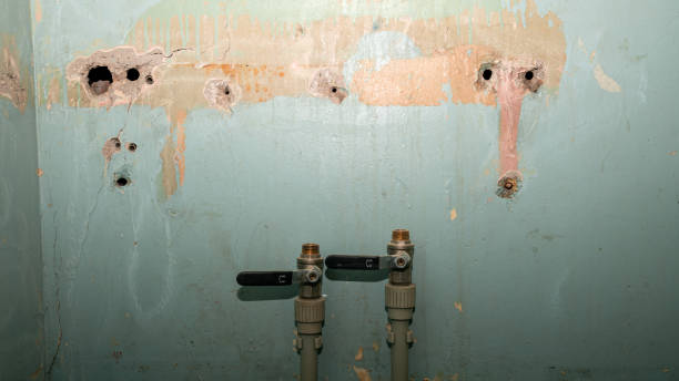 Best Mold removal after water damage  in Olney, MD