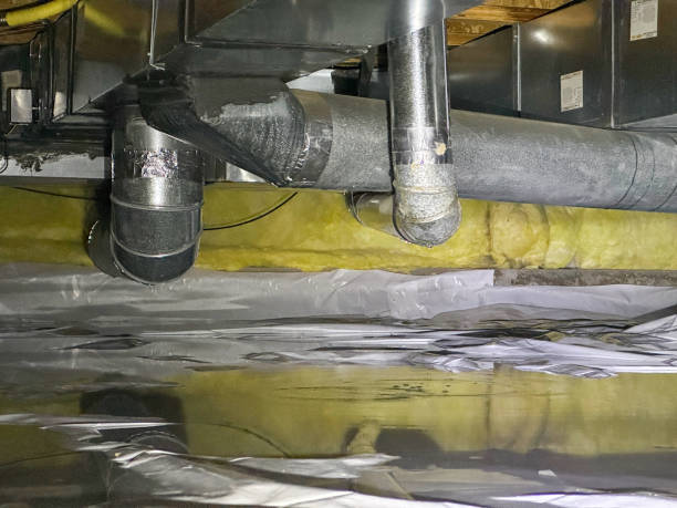 Best Sewage cleanup and water damage restoration  in Olney, MD