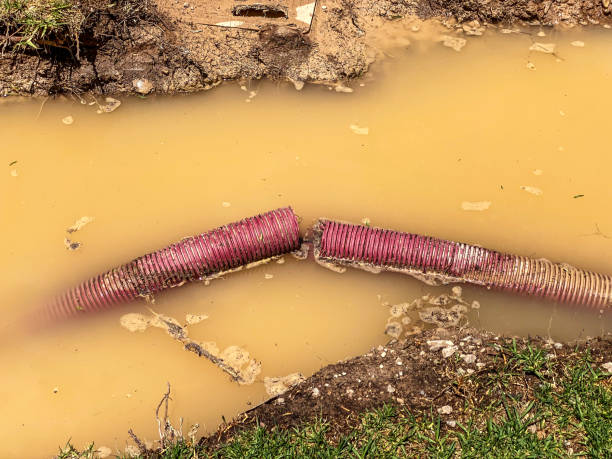 Best Water damage restoration specialists  in Olney, MD