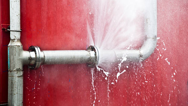 Best Water damage repair service  in Olney, MD